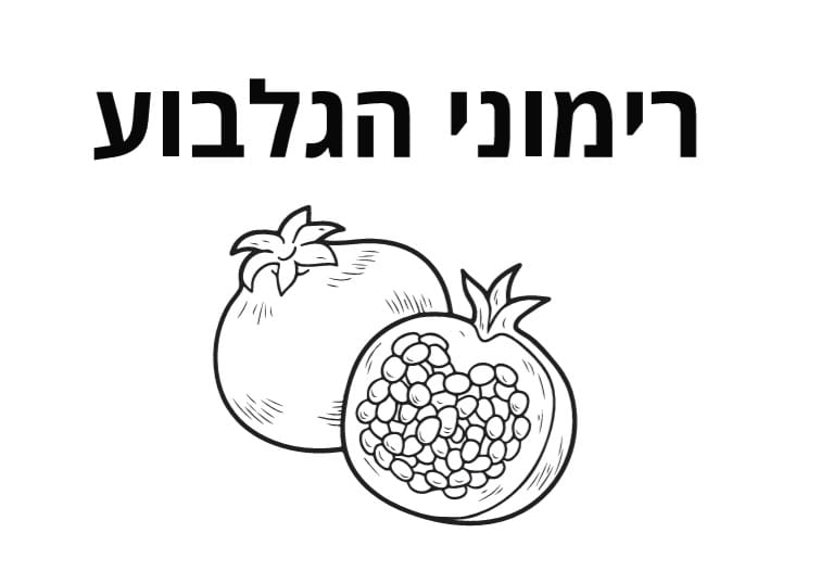 רימוני הגלבוע