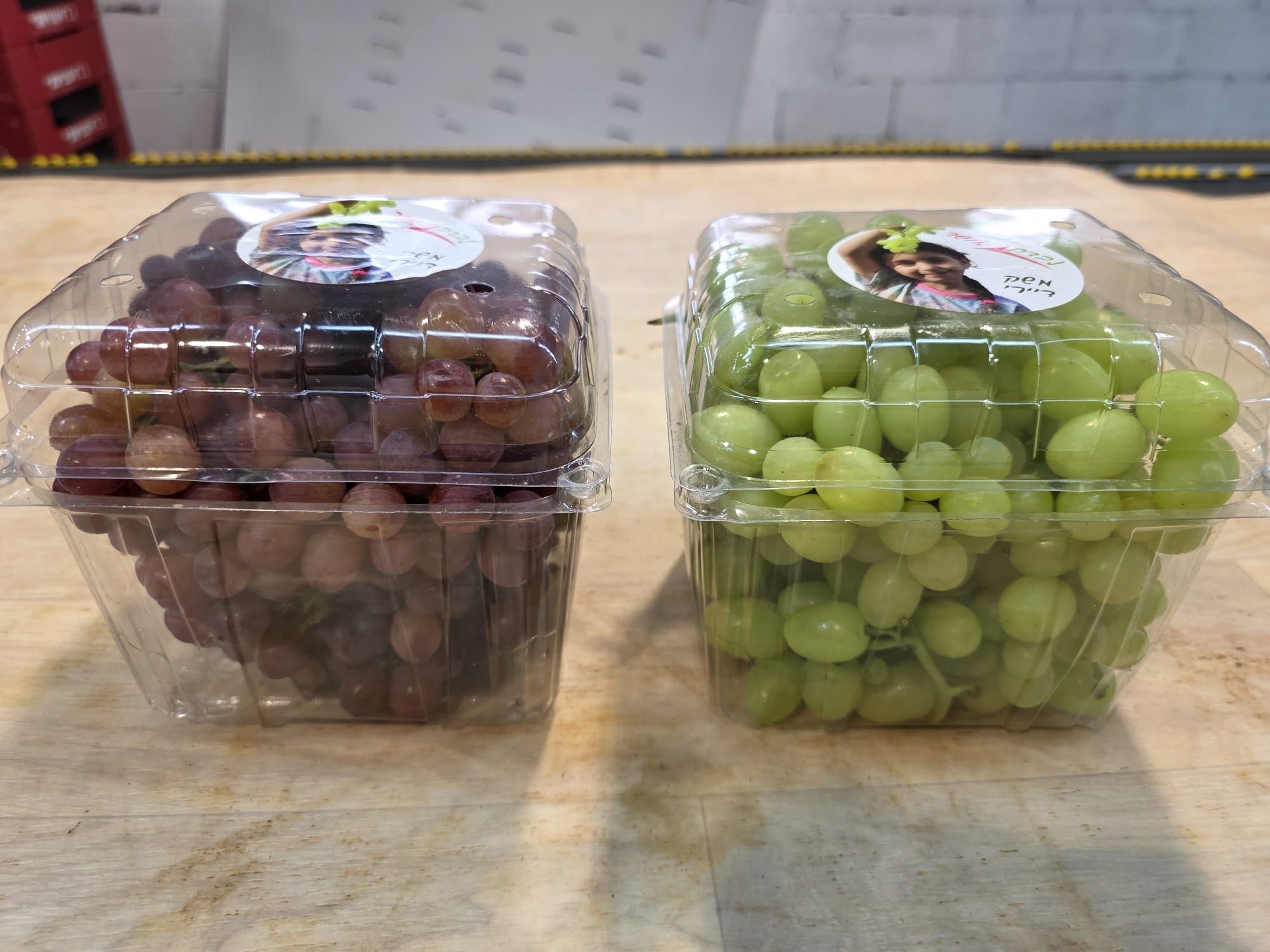 דואט אדום ירוק